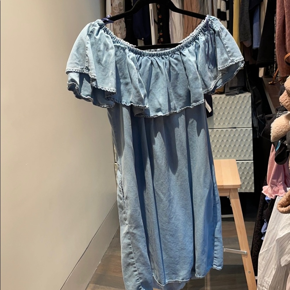 Zara Denim Dress
